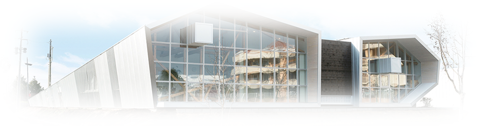 診療案内/下肢静脈瘤手術